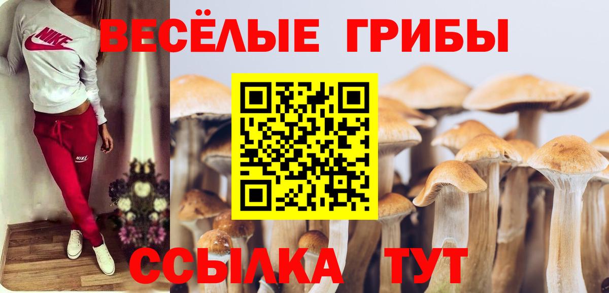 Галлюциногенные грибы Magic Shrooms Когалым